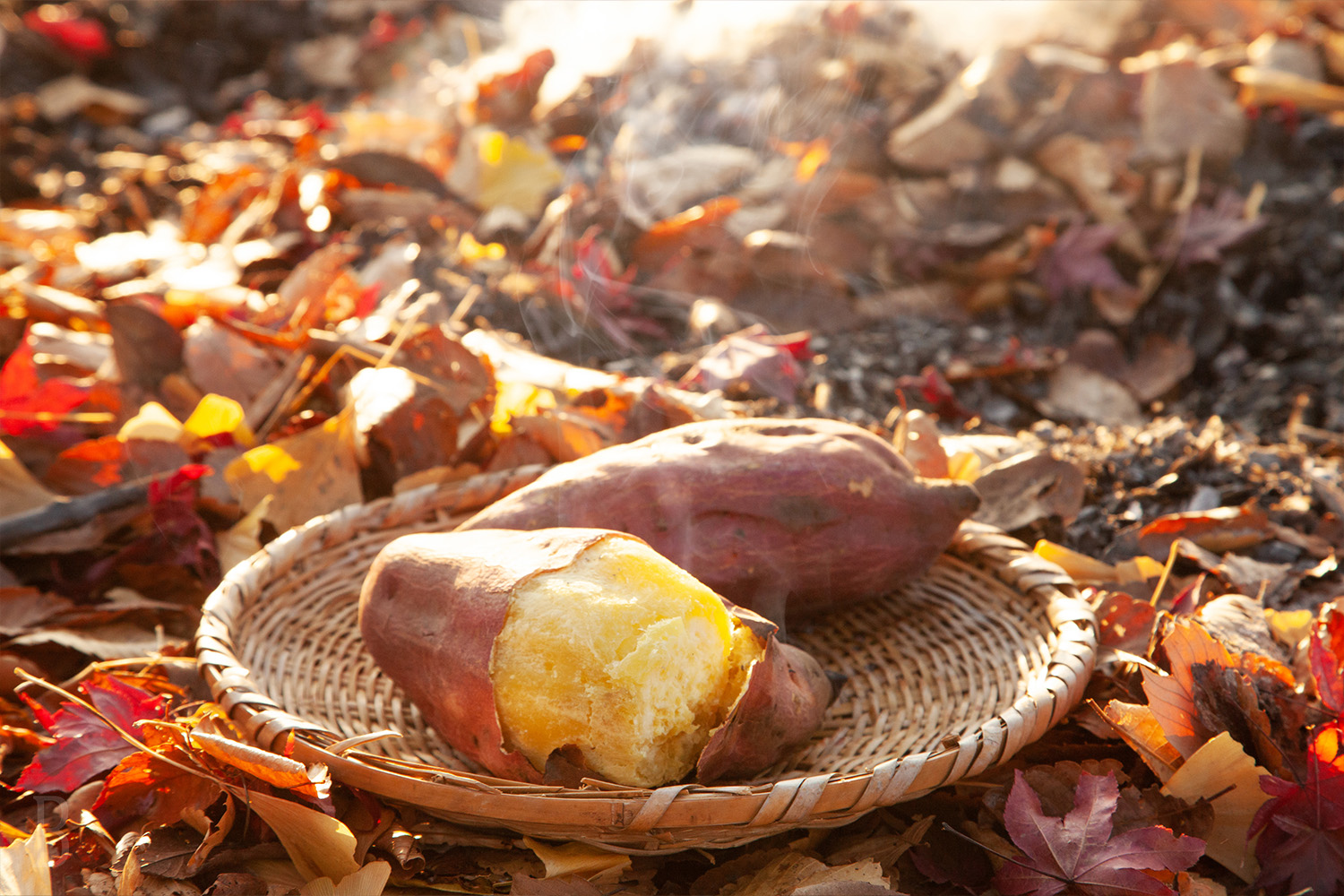 11月~12月限定! 焼きいも体験サービス実施のお知らせ🍠✨の写真
