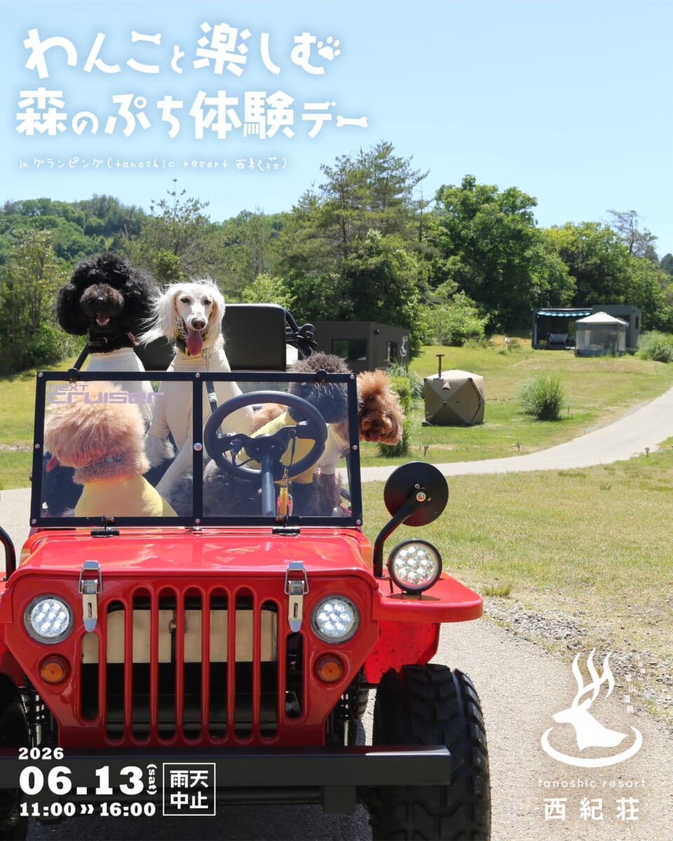 ドッグイベントのご案内🐶｜わんこと楽しむ森のプチ体験デーの写真
